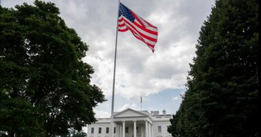 Trump orders flags to be flown at half-staff in honor of National Guard member killed in DC attack