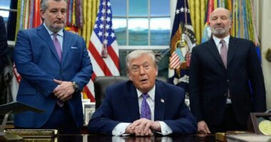 Trump signs order to fight state AI laws 