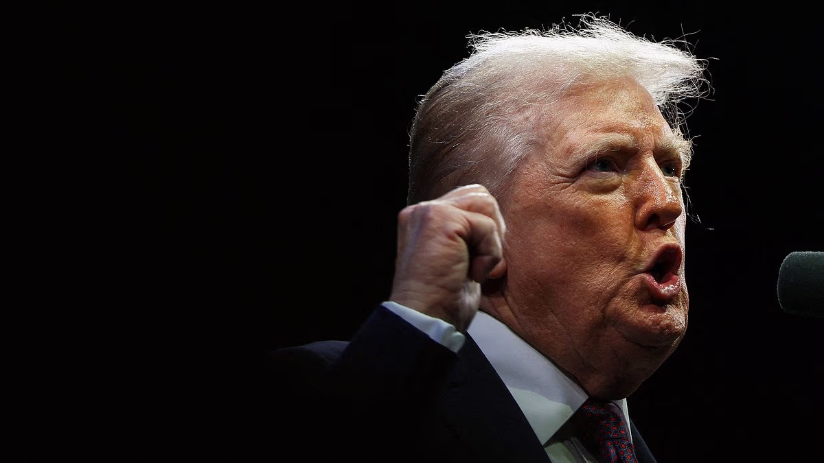 Trump warns Europe is under threat of 'civilizational erasure'