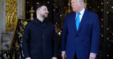 Trump welcomes Zelenskyy for talks, asserts Russia and Ukraine both want peace, however elusive