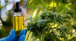 Trump's marijuana order throws lifeline to hemp industry