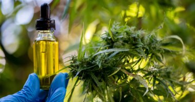 Trump's marijuana order throws lifeline to hemp industry