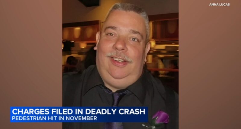 Tynesha McCarty-Wroten, charged in Zion pedestrian Darren Lucas' death while allegedly livestreaming on TikTok, out of custody