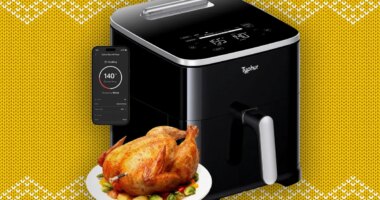 Typhur 8 Quart Sync Air Fryer with wireless thermometer is 47% off