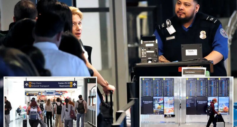 US airports allow non-traveling public past security entrances for first time in decades