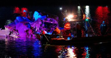 US government admits fault in deadly Potomac River collision that killed 67 people in Washington DC