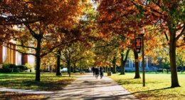 University of Illinois lesson materials push leftist race, class struggles on future teachers: leaked lectures