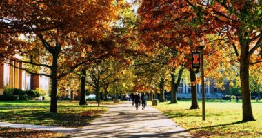 University of Illinois lesson materials push leftist race, class struggles on future teachers: leaked lectures