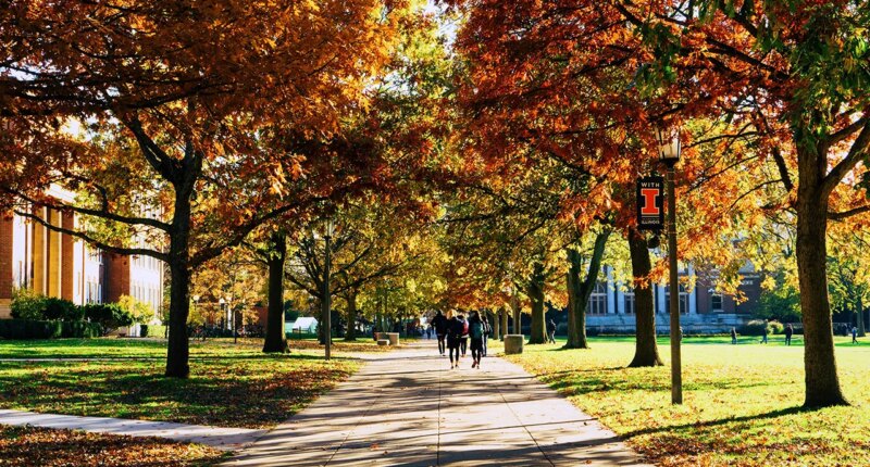 University of Illinois lesson materials push leftist race, class struggles on future teachers: leaked lectures