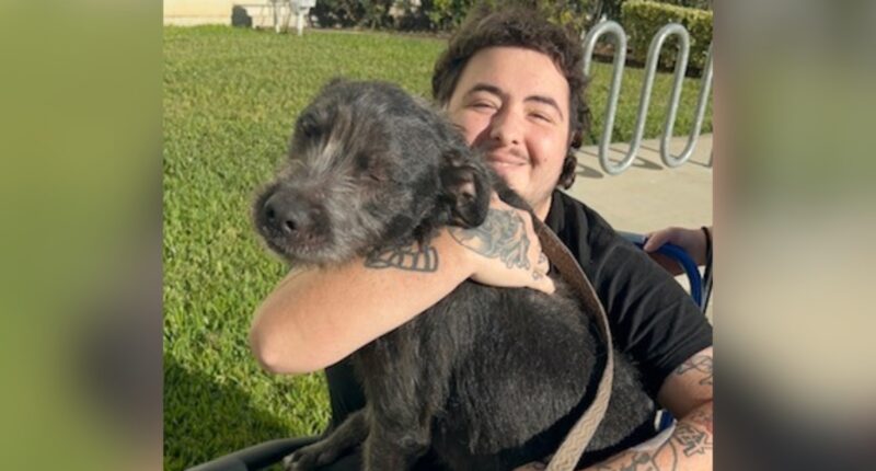 'Very alarming': Man partially paralyzed after Murray Hill shooting, advocates call it a hate crime