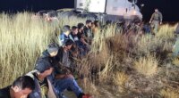 Video shows 23 illegal immigrants found hidden in truck cab during tense traffic stop: police