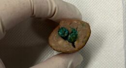 Vets have issued a warning after a dog became sick from eating food laced with poison at a popular park in Sydney's Inner West.