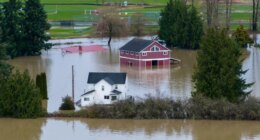 A n aerial view of a home and a barn surrounded by floodwaters in Snohomish, Wash., Thursday, Dec. 11, 2025. (AP Photo/Stephen Brashear)