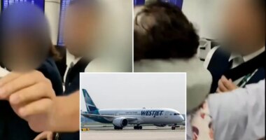 WestJet airline under fire after agent tears up passenger’s boarding passes for filming bumped flight dispute