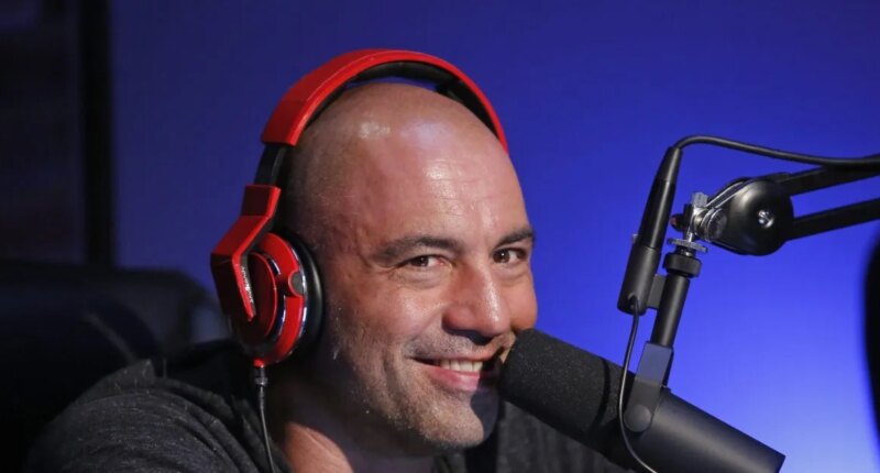 What is Joe Rogan's net worth?
