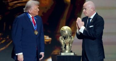 What is the FIFA Peace Prize? New award given to President Trump at World Cup draw