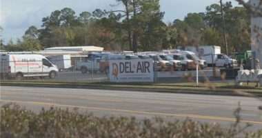 What should you do? | Crime and safety expert shares advice after road rage ends in shooting