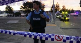 What to know about Australia’s gun laws after deadly Bondi Beach shooting