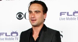Why The Big Bang Theory's Johnny Galecki Had His Lines Removed From A 2008 Superhero Movie