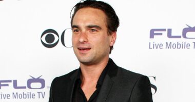 Why The Big Bang Theory's Johnny Galecki Had His Lines Removed From A 2008 Superhero Movie