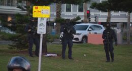 Witnesses recall moment shooters open fire at Bondi Beach