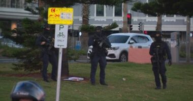Witnesses recall moment shooters open fire at Bondi Beach