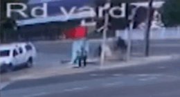 Woman, 84, seriously injured in unprovoked alleged attack