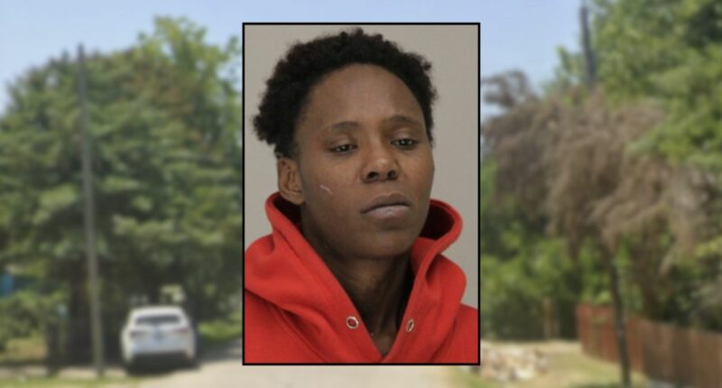 Woman allegedly set house on fire then slashed water hoses