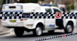The driver was arrested and taken to Parramatta Police station where he was charged with two counts of sexual intercourse without consent.