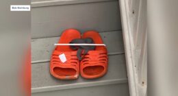 Woman in Chowan County, North Carolina finds potentially armed, dangerous escaped inmate in backseat of car in Edenton