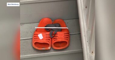 Woman in Chowan County, North Carolina finds potentially armed, dangerous escaped inmate in backseat of car in Edenton