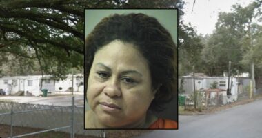 Woman intentionally burned kids' hands on griddle: Police