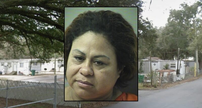 Woman intentionally burned kids' hands on griddle: Police