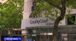 Woman raped by son of high-profile couple speaks out