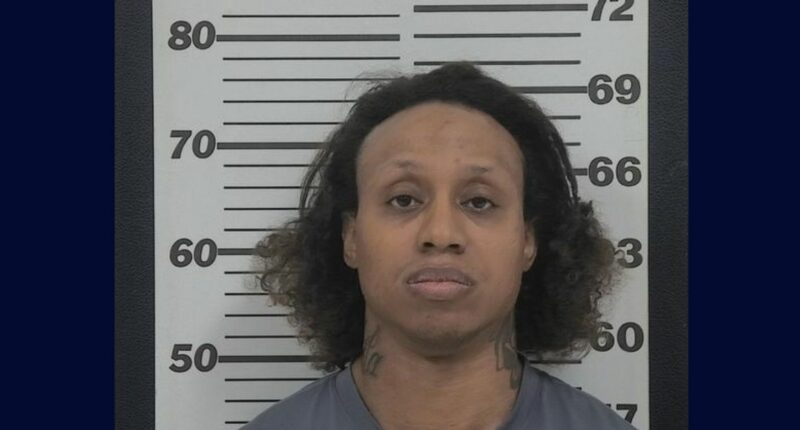 Woman uses ChatGPT email to flee attacker: Cops