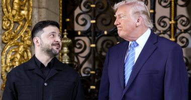 Zelenskyy claims Trump said US will consider giving Ukraine decades of security guarantees
