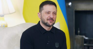 Zelenskyy encouraged by 'very good' Christmas talks with US