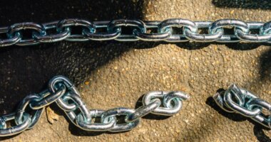 ‘Covered in scars’: 80+ dogs rescued from suspected dogfighting operation in Florida