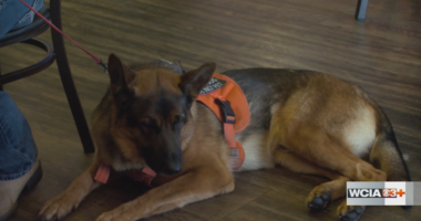 ‘It’s really hurting us;’ Rising prices make service dogs harder to come by