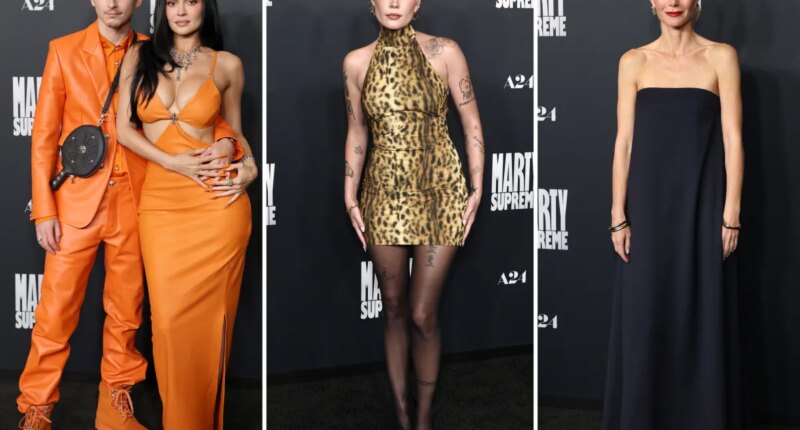 ‘Marty Supreme’ LA premiere red carpet: Timothée Chalamet, Kylie Jenner, Halsey, Gwyneth Paltrow and more