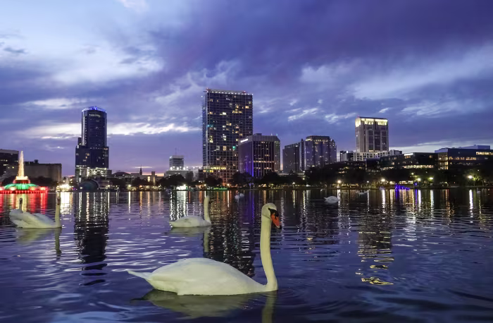 ‘Not as high as we thought:’ Officials probe cause of 11 bird deaths at Orlando’s Lake Eola