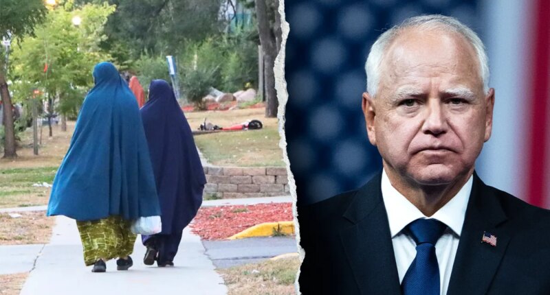 ‘Schemes stacked upon schemes’: $1B public benefits fraud fuels scrutiny of Minnesota’s Somali community