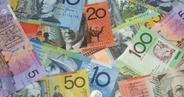 An Array of Australian Money