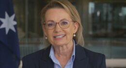 'Door is open but I'm not looking', Ley says after Coalition split