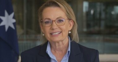 'Door is open but I'm not looking', Ley says after Coalition split