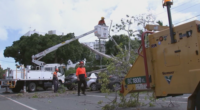 'Expect to lose power': Queenslanders in path of likely cyclone urged to prepare