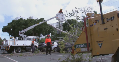 'Expect to lose power': Queenslanders in path of likely cyclone urged to prepare