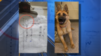 'ICE OUT' scribbled on K-9 officer's kennel chart, DHS says