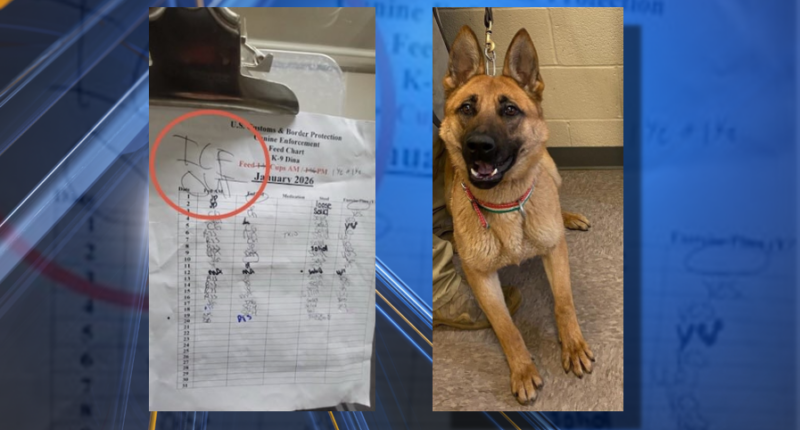 'ICE OUT' scribbled on K-9 officer's kennel chart, DHS says