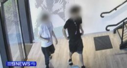 The pair of teens allegedly used a stolen Anytime Fitness member's pass to to sneak into the Port Melbourne gym on Friday January 16.